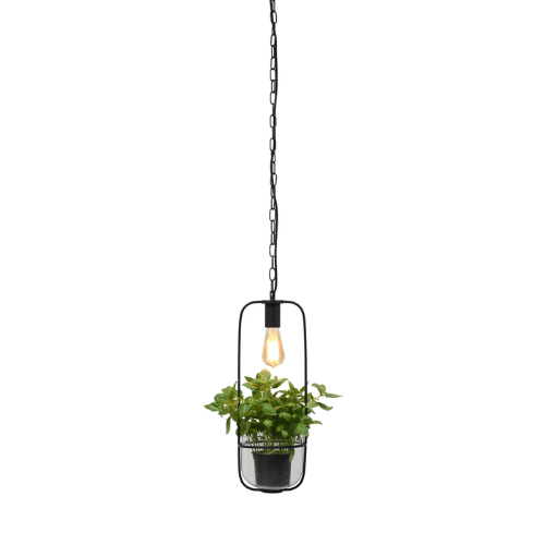 Hanglamp/planthouder ijzer/glas Florence h.52x19cm, zwart